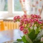 Lovely Flat In Morgex
