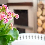 Lovely Flat In Apartment Morgex