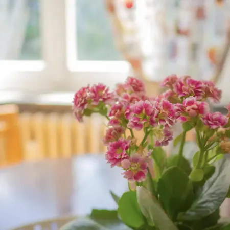 Lovely Flat In * Morgex