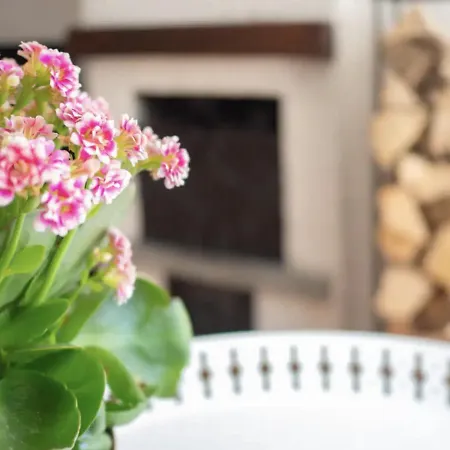 Lovely Flat In Appartamento