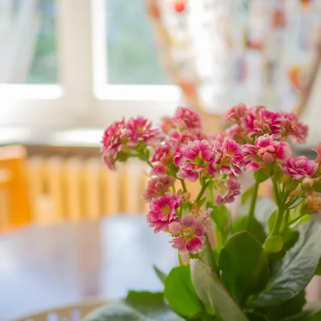 Lovely Flat In Морже