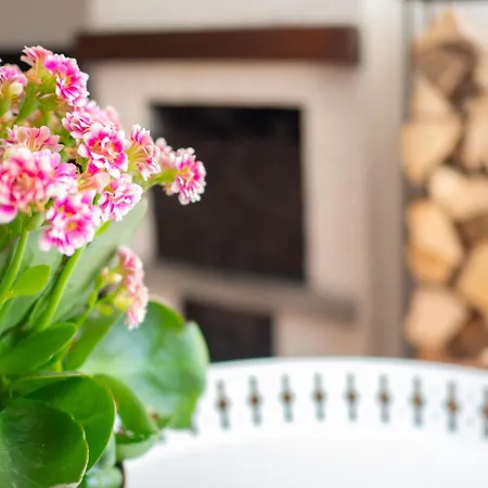 Lovely Flat In Апартаменты Морже