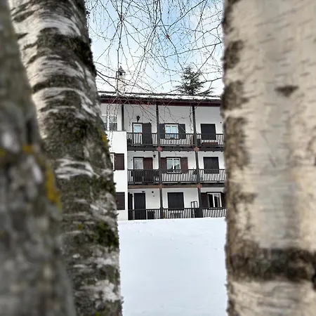 Lovely Flat In Morgex