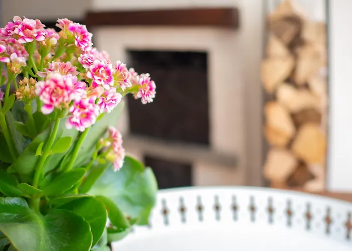 Lovely Flat In Apartament Morgex